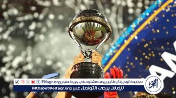 باراجواي تتأهب لاحتضان نهائي كوبا سود أمريكانا