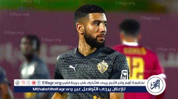 بند مثير يعرقل انتقال القندوسي إلى سيراميكا