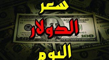 الآن.. سعر الدولار اليوم مقابل الجنيه المصري الخميس 7 نوفمبر 2024 في جميع البنوك والسوق السوداء