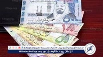 سعر الريال السعودي اليوم 30 نوفمبر 2024 مقابل الجنيه المصري