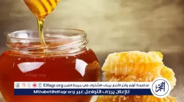 كنز الطبيعة وفوائده الصحية والجمالية