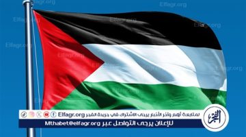 لا تنازل عن إقامة دولة فلسطينية مستقلة في قلب الشرق الأوسط