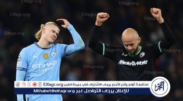 نتيجة وملخص أهداف مباراة مانشستر سيتي ضد فيينورد في دوري أبطال أوروبا