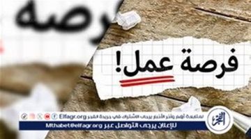 وزارة العمل تُعلن عن 3088 فرصة عمل جديدة برواتب مجزية في 8 محافظات