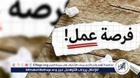 وظائف شاغرة برواتب بالدولار على موقع فرصنا: فرص عمل في البورصة ومجال المحاسبة