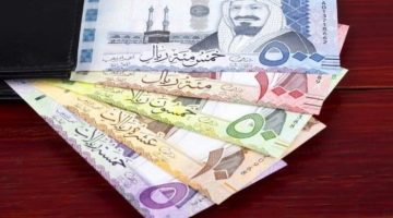 سعر الريال السعودي مقابل الجنيه اليوم الأحد 8 ديسمبر 2024