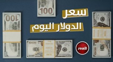 الأخضر بكام؟.. سعر الدولار في مصر اليوم الإثنين 9 – 12 – 2024