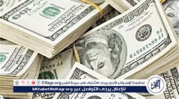 الصبح أخبار – استقرار سعر الدولار مقابل الجنيه المصري اليوم الثلاثاء 24 ديسمبر 2024 بعد تخطيه حاجز الـ51 جنيهًا