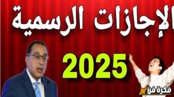 الصبح أخبار – مفاجأة سارة للملايين في مصر: 11 يوم إجازة في يناير 2025! عطلات رسمية تشمل البنوك والمدارس وهيئة البريد والمصالح الحكومية. اكتشف موعد راحتك الآن!