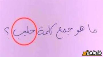 قبل امتحانات نصف العام 2025: الإجابة الصحيحة والمفاجئة عن جمع كلمة “حليب” في اللغة العربية يكشفها معلم المادة لطلاب الثانوية العامة