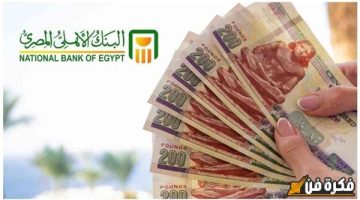 “الشهادة البلاتينية هتكسبك 30%”.. أسعار فائدة شهادات ادخار البنك الأهلي المصري لشهر ديسمبر 2024: عروض استثمارية مميزة وعوائد ضخمة