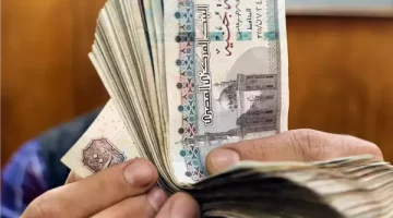 يا ترى لو الدعم النقدي اتنفذ أنت هتستفيد ايه كـ مواطن؟.. اعرف المميزات