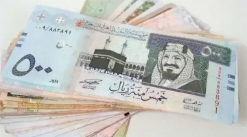 سعر الريال السعودي مقابل الجنيه المصري اليوم الخميس 19 ديسمبر 2024 بيعًا وشراءً الصبح أخبار –