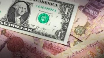 سعر الدولار مقابل الجنيه المصري بمنتصف تعاملات اليوم الثلاثاء 31 ديسمبر الصبح أخبار –