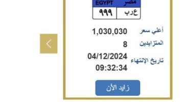 وصلت مليون و30 ألف.. اليوم غلق المزاد على «ع ر ب 999» |اعرف الخطوات