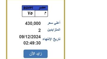 التزايد ينتهي غدًا.. «المرور» تطرح لوحة سيارة بسعر مميز