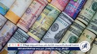 ارتفاع جديد في أسعار العملات مقابل الجنيه المصري اليوم