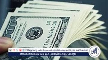 استقرار سعر الدولار مقابل الجنيه المصري اليوم الأحد 8 ديسمبر 2024 في البنوك المصرية