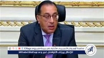 الحكومة تخصص قطعة أرض في المنصورة لإقامة موزع كهرباء جديد