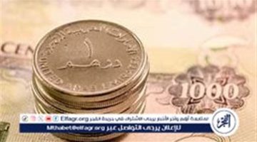 الصبح أخبار – استقرار سعر الدرهم الإماراتي مقابل الجنيه المصري اليوم 16 ديسمبر 2024