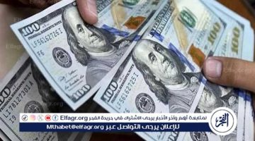 الصبح أخبار – استقرار سعر الدولار مقابل الجنيه المصري اليوم الأربعاء 18 ديسمبر 2024 في البنوك المصرية