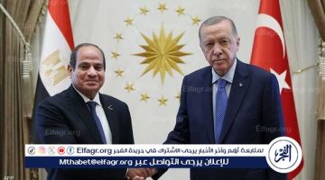 الصبح أخبار – الرئيس السيسي وأردوغان يؤكدان ضرورة مواصلة تعزيز التعاون الثنائي بشتى المجالات