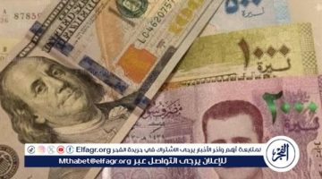 الصبح أخبار – بعد زيادة البنزين.. ما هي جهود الحكومة تقليل فاتورة استيراد المواد البترولية؟