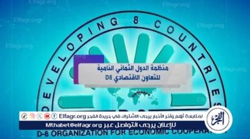 الصبح أخبار – “خلق فرص جديدة”.. أهم مبادئ منظمة الدول الثماني النامية للتعاون الاقتصادي