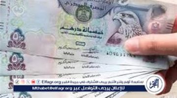 الصبح أخبار – سعر الدرهم الإماراتي في البنوك المصرية اليوم الإثنين 23 ديسمبر 2024 أمام الجنيه