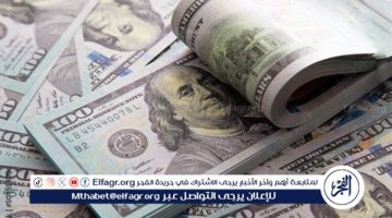 الصبح أخبار – سعر الدولار اليوم في السوق السوداء والبنوك الجمعة 27 ديسمبر 2024