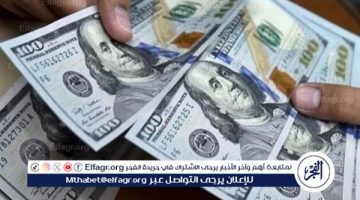 الصبح أخبار – سعر الدولار اليوم مقابل الجنيه المصري الأحد 29 ديسمبر 2024