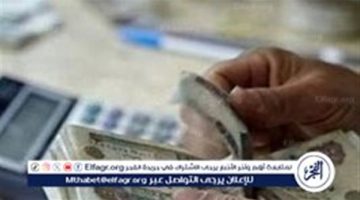 الفئات المستحقة للدعم النقدي غير المشروط في قانون الضمان الاجتماعي الجديد