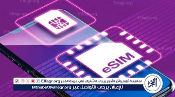 بعد إطلاقها رسميا.. ما هي شريحة eSIM في مصر وكيفية تشغيلها على هاتفك