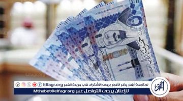 بعد الارتفاع المفاجئ.. سعر الريال السعودي بتعاملات اليوم الأحد 8 ديسمبر 2024