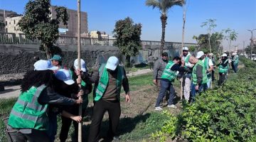 تعلن انطلاق المرحلة الثانية من مبادرة “الجذور الخضراء”