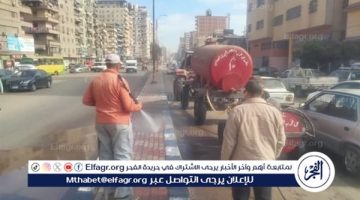 رفع 630 طن مخلفات بلدية وأتربة وناتج تقليم أشجار بالمنطقة المركزية