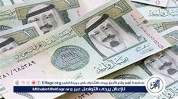 سعر الريال السعودي الآن في 5 بنوك.. تحديث مباشر لـ العملة السعودية أمام الجنيه المصري