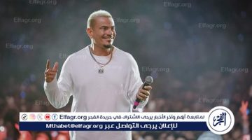 عمرو دياب يشدو في دبي.. وجمهوره يحتشد بالآلاف في ساحة “هاربر”