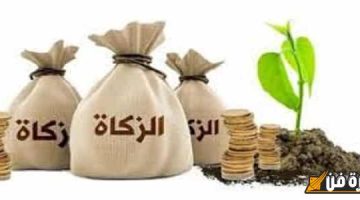 الصبح أخبار – ما هو مقدار زكاة المال وكيف يمكن أن تؤثر على حياتك المالية الروحية؟