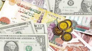 الصبح أخبار -استقرار سعر الدولار أمام الجنيه المصري اليوم السبت 18 يناير 2025