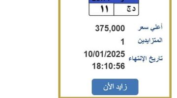 سعرها وصل 375 ألف جنيه.. خطوات التزايد على لوحة سيارة مميزة (رابط) الصبح أخبار –