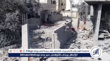 الصبح أخبار – 99 شخصية و هيئة فلسطينية تدعم المقترح المصري لتشكيل لجنة إسناد لإدارة قطاع غزة