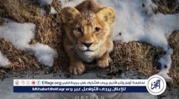 الصبح أخبار – The Lion King” يواصل زئيره في شباك التذاكر ويقترب من 600 مليون دولار عالميًا