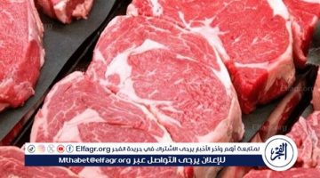 الصبح أخبار – أسعار اللحوم الجملي والضاني اليوم الأربعاء 8-1-2025 في الأسواق ومحال الجزارة بقنا