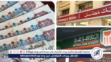 الصبح أخبار – أفضل شهادات الادخار في البنوك المصرية 2025: عوائد مرتفعة وخيارات متنوعة