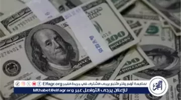 الصبح أخبار – استقرار سعر الدولار مقابل الجنيه المصري اليوم الجمعة 3 يناير 2025