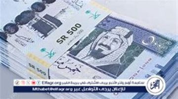 الصبح أخبار – استقرار سعر الريال السعودي مقابل الجنيه المصري اليوم السبت 11 يناير 2025