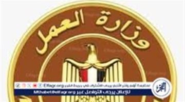 الصبح أخبار – اعرف الموعد الأخير للتقديم على وظائف بالبوسنة والهرسك براتب 700 يورو