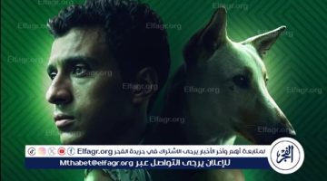 الصبح أخبار – تعرف على إيرادات فيلم “البحث عن منفذ لخروج السيد رامبو”