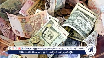 الصبح أخبار – سعر الدرهم الإماراتي في البنك المركزي المصري اليوم الجمعة 17-1-2025